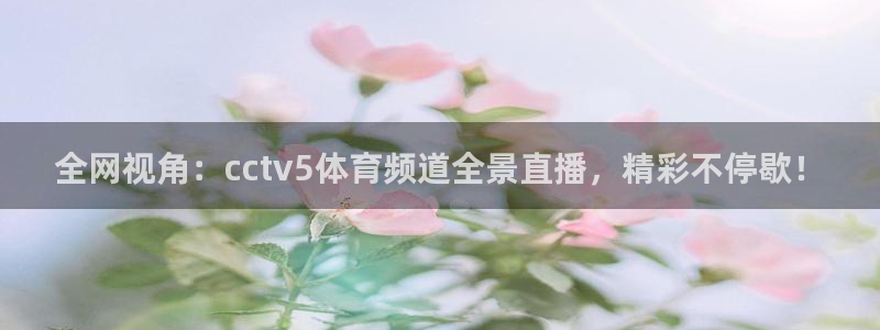 全网视角：cctv5体育频道全景直播，精彩不停歇！
