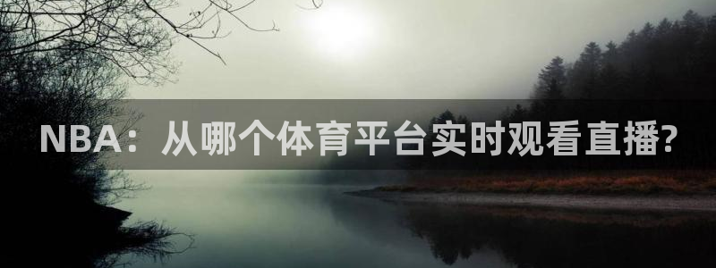 NBA：从哪个体育平台实时观看直播?