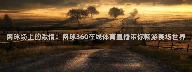 网球场上的激情：网球360在线体育直播带你畅游赛场世界