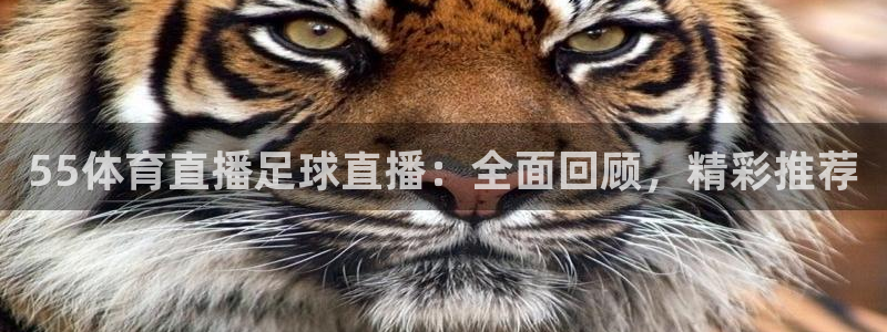 55体育直播足球直播：全面回顾，精彩推荐