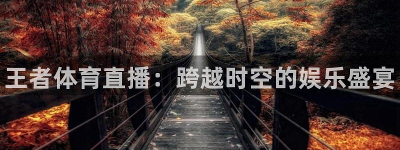王者体育直播：跨越时空的娱乐盛宴