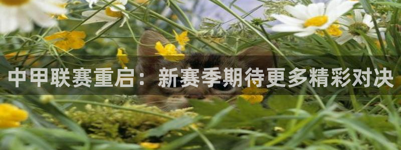 中甲联赛重启：新赛季期待更多精彩对决