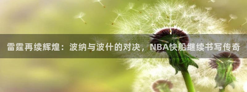 雷霆再续辉煌：波纳与波什的对决，NBA快船继续书写传奇