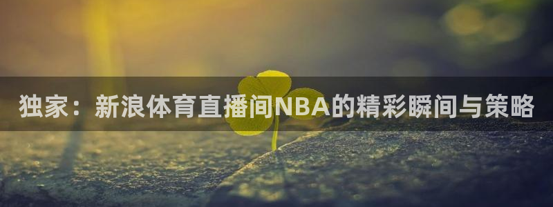 独家：新浪体育直播间NBA的精彩瞬间与策略