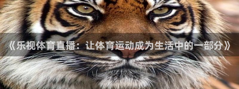 《乐视体育直播：让体育运动成为生活中的一部分》