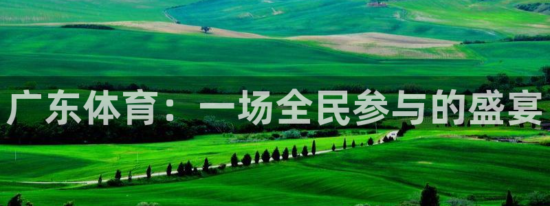 广东体育：一场全民参与的盛宴