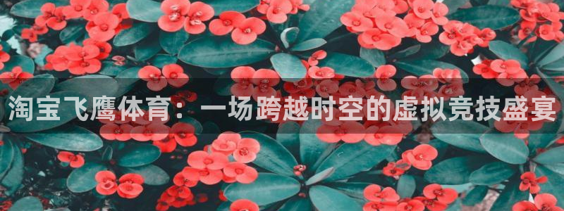 淘宝飞鹰体育：一场跨越时空的虚拟竞技盛宴