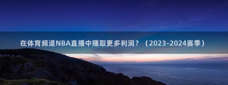 在体育频道NBA直播中赚取更多利润？（2023-2024赛季）
