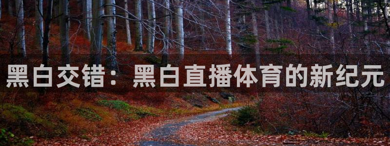 黑白交错：黑白直播体育的新纪元