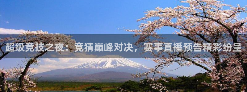 超级竞技之夜：竞猜巅峰对决，赛事直播预告精彩纷呈