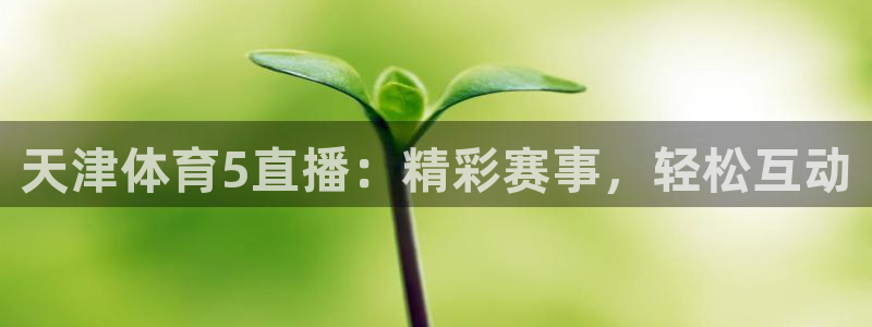 天津体育5直播：精彩赛事，轻松互动