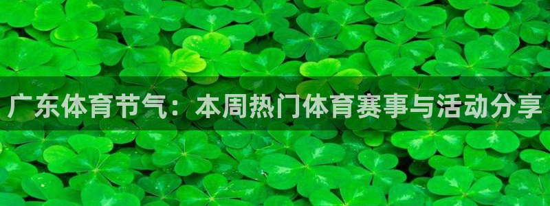 广东体育节气：本周热门体育赛事与活动分享