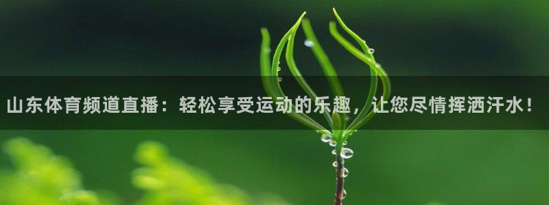 山东体育频道直播：轻松享受运动的乐趣，让您尽情挥洒汗水！